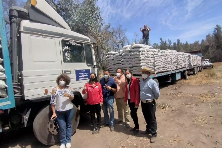 Delegada María José Puigrredón junto al INDAP entregó ayuda a los productores de la comuna de Paine con forraje para los animales